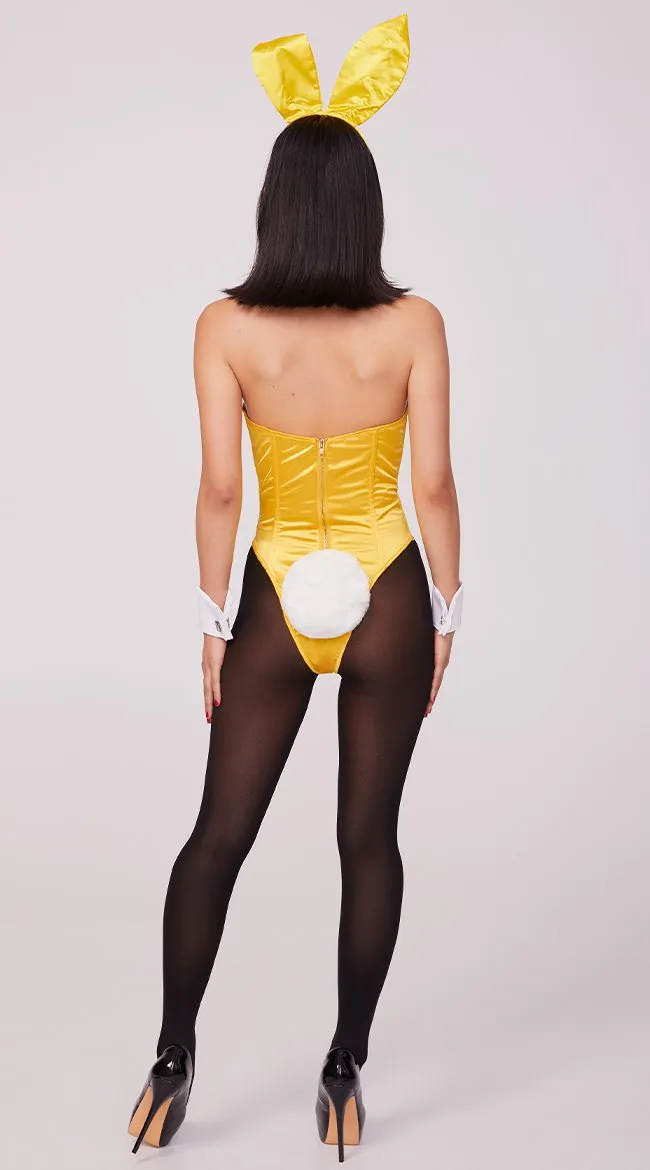 Playboy Plus Size Elegant Bunny Costume